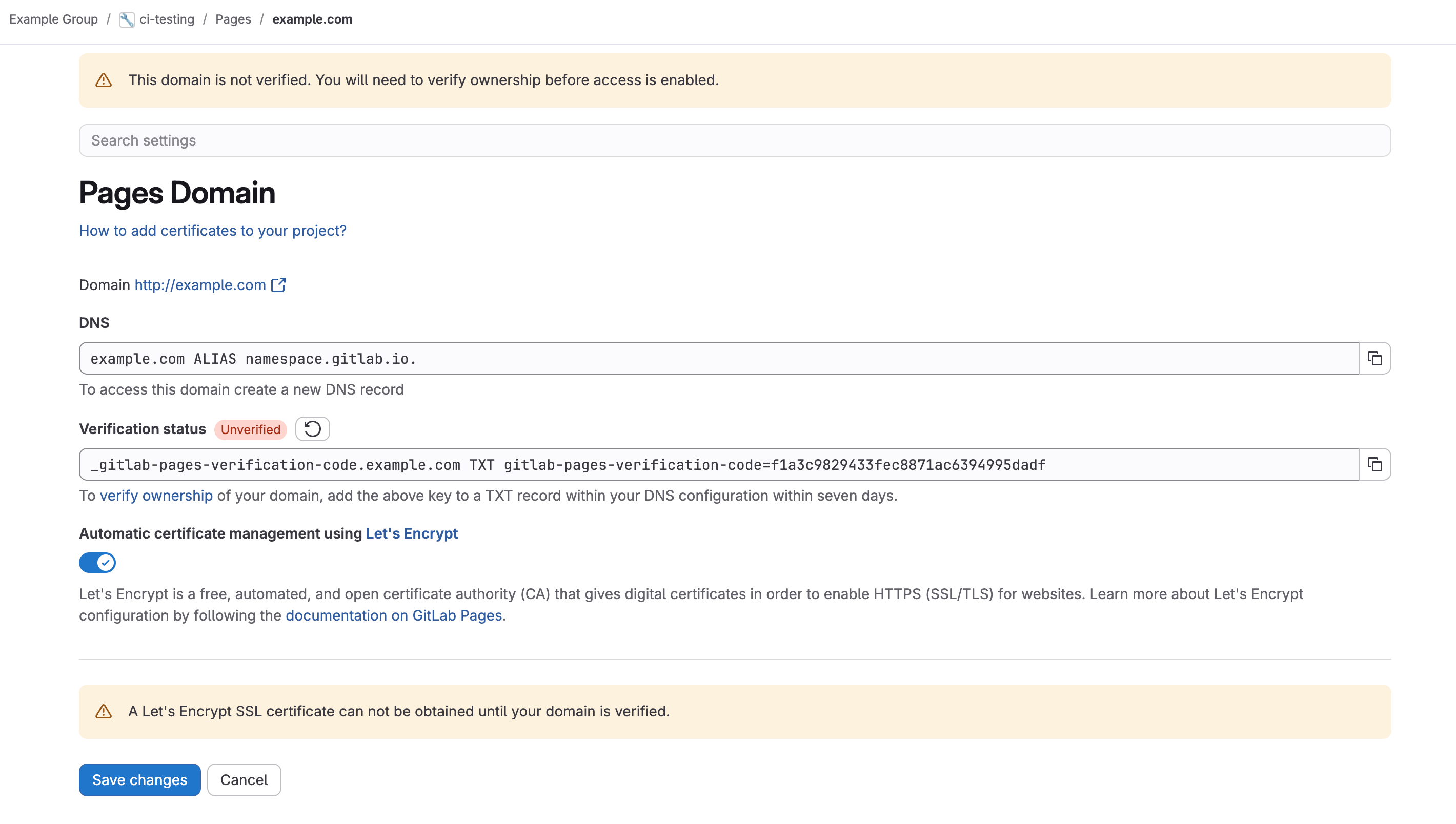 GitLab Pages showing the generated verification code for a new domain.